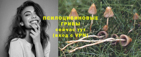 соль курить ск Армянск