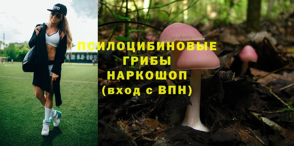 а пвп мука Аркадак